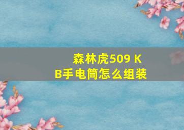 森林虎509 KB手电筒怎么组装